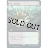 [EX](フルアート)下生えの競技場/Undergrowth Stadium《日本語》【CMR】