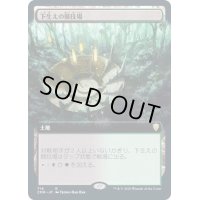 [EX+](FOIL)(フルアート)下生えの競技場/Undergrowth Stadium《日本語》【CMR】