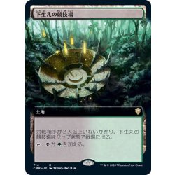 画像1: (フルアート)下生えの競技場/Undergrowth Stadium《日本語》【CMR】