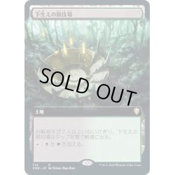 画像1: [EX+](FOIL)(フルアート)下生えの競技場/Undergrowth Stadium《日本語》【CMR】