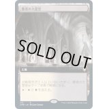 [EX](FOIL)(フルアート)勝者の大霊堂/Vault of Champions《日本語》【CMR】