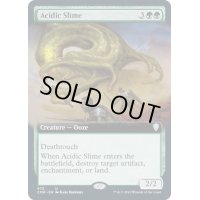 [EX+](FOIL)(フルアート)酸のスライム/Acidic Slime《英語》【CMR】