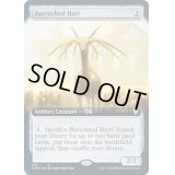 (FOIL)(フルアート)つややかな雄鹿/Burnished Hart《英語》【CMR】