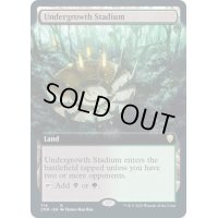 [EX](フルアート)下生えの競技場/Undergrowth Stadium《英語》【CMR】