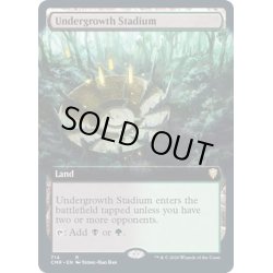 画像1: [EX+](FOIL)(フルアート)下生えの競技場/Undergrowth Stadium《英語》【CMR】