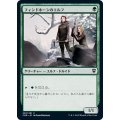 [EX]フィンドホーンのエルフ/Fyndhorn Elves《日本語》【CMR】