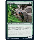 再利用の賢者/Reclamation Sage《日本語》【CMR】