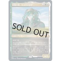 [EX+](エッチングFOIL)収穫の神、ケイラメトラ/Karametra, God of Harvests《日本語》【CMR】