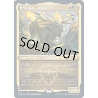 (エッチングFOIL)野生の意志、マラス/Marath, Will of the Wild《日本語》【CMR】