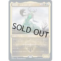 [EX+](エッチングFOIL)墓場波、ムルドローサ/Muldrotha, the Gravetide《日本語》【CMR】
