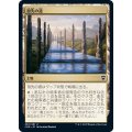祖先の道/Path of Ancestry《日本語》【CMR】