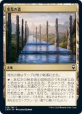祖先の道/Path of Ancestry《日本語》【CMR】