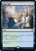[EX+]回復の温泉/Rejuvenating Springs《日本語》【CMR】