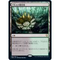 [EX+]下生えの競技場/Undergrowth Stadium《日本語》【CMR】