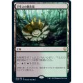 (FOIL)下生えの競技場/Undergrowth Stadium《日本語》【CMR】