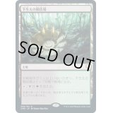 [EX]下生えの競技場/Undergrowth Stadium《日本語》【CMR】