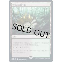[EX]下生えの競技場/Undergrowth Stadium《日本語》【CMR】