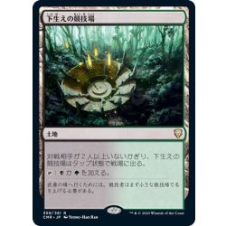 画像1: [EX+](FOIL)下生えの競技場/Undergrowth Stadium《日本語》【CMR】