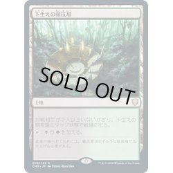 画像1: [EX+](FOIL)下生えの競技場/Undergrowth Stadium《日本語》【CMR】