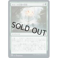 [EX+]カルニの心臓の探検/Khalni Heart Expedition《日本語》【CMR】