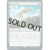 [EX+](FOIL)(フルアート)木霊の手の内/Kodama's Reach《日本語》【CMR】
