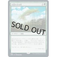 [EX+](FOIL)(フルアート)木霊の手の内/Kodama's Reach《日本語》【CMR】
