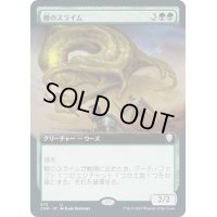 [EX+](FOIL)(フルアート)酸のスライム/Acidic Slime《日本語》【CMR】