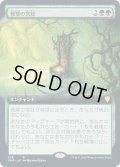 (フルアート)報奨の宮廷/Court of Bounty《日本語》【CMR】