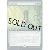 [EX+](FOIL)(フルアート)報奨の宮廷/Court of Bounty《日本語》【CMR】