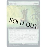 [EX+](FOIL)(フルアート)報奨の宮廷/Court of Bounty《日本語》【CMR】