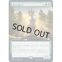 [EX+](FOIL)(フルアート)明けの林の主/Dawnglade Regent《日本語》【CMR】