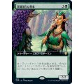 (FOIL)(フルアート)清廉潔白な判事/Immaculate Magistrate《日本語》【CMR】