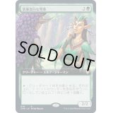 [EX+](FOIL)(フルアート)清廉潔白な判事/Immaculate Magistrate《日本語》【CMR】