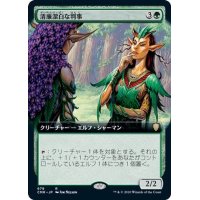 (FOIL)(フルアート)清廉潔白な判事/Immaculate Magistrate《日本語》【CMR】