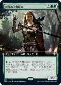 (FOIL)(フルアート)秩序の大魔術師/Magus of the Order《日本語》【CMR】