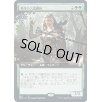 [EX+](FOIL)(フルアート)秩序の大魔術師/Magus of the Order《日本語》【CMR】