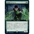 (FOIL)(フルアート)樹根織りのドルイド/Rootweaver Druid《日本語》【CMR】