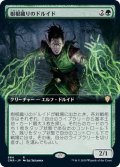 (FOIL)(フルアート)樹根織りのドルイド/Rootweaver Druid《日本語》【CMR】