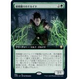 (フルアート)樹根織りのドルイド/Rootweaver Druid《日本語》【CMR】