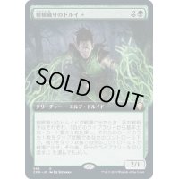 [EX+](FOIL)(フルアート)樹根織りのドルイド/Rootweaver Druid《日本語》【CMR】