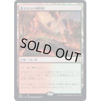 燃えがらの林間地/Cinder Glade《日本語》【DMC】