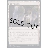 進化する未開地/Evolving Wilds《日本語》【DMC】