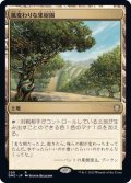 風変わりな果樹園/Exotic Orchard《日本語》【DMC】