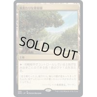 [EX+]風変わりな果樹園/Exotic Orchard《日本語》【DMC】