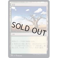 草原/Grasslands《日本語》【DMC】
