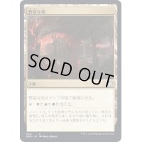 野蛮な地/Savage Lands《日本語》【DMC】