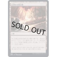 広漠なる変幻地/Terramorphic Expanse《日本語》【DMC】
