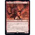 (FOIL)ロフガフフを継ぐ者、ロズナクフト/Rosnakht, Heir of Rohgahh《日本語》【DMC】