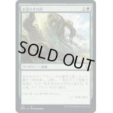 木霊の手の内/Kodama's Reach《日本語》【DMC】
