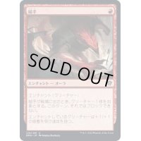 (FOIL)槌手/Hammerhand《日本語》【DMU】